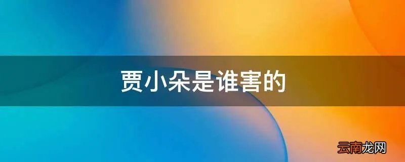 贾小朵是谁害的