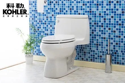 抽水马桶哪个品牌好 国内抽水马桶十大品牌排行榜