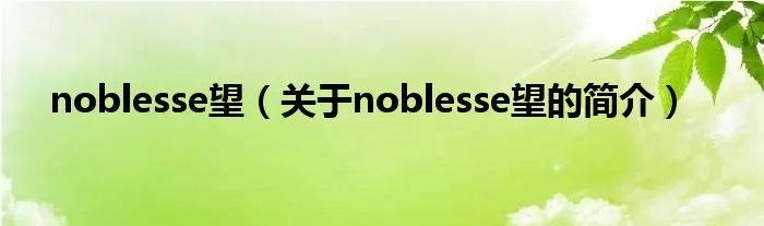 noblesse望（关于noblesse望的简介）