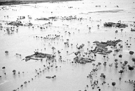 杜充为什么会决黄河？当时的情况是怎样的？