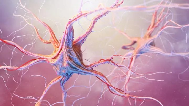 请问一下女性癫痫遗传吗？