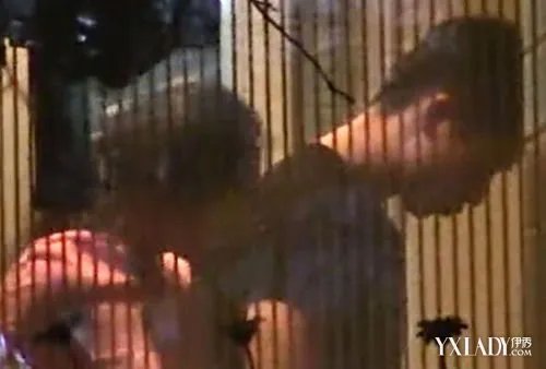 魏晨于玮韩国被拍恋情曝光女方曾被指横刀夺爱