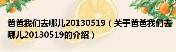 爸爸我们去哪儿20130519（关于爸爸我们去哪儿20130519的介绍）