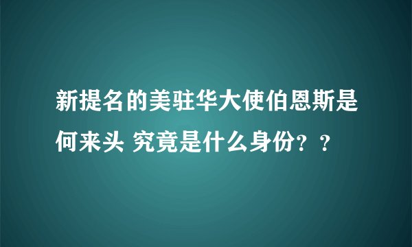 新提名的美驻华大使伯恩斯是何来头 究竟是什么身份？？