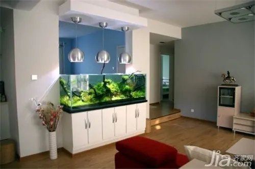 家里如何养鱼？养鱼知识大全