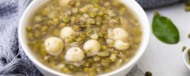 豆子的种类有哪些