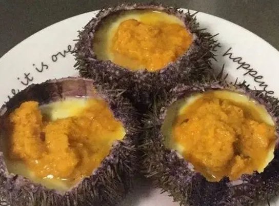 三亚海胆蒸蛋事件当事人道歉，这具体是怎么回事？