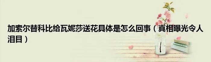 加索尔替科比给瓦妮莎送花具体是怎么回事(真相曝光令人泪目)