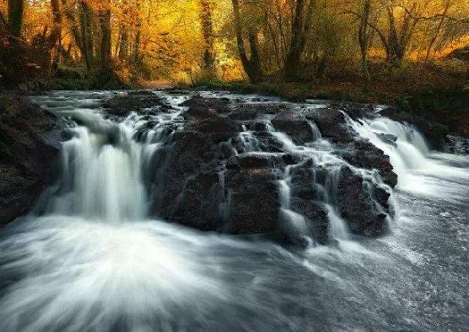 荡涤是什么意思?