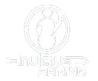 《英雄联盟LOL》2014LPL春季赛参赛队伍详细资料