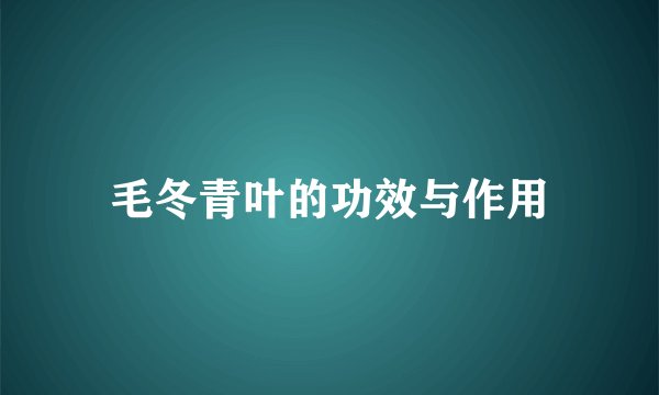 毛冬青叶的功效与作用