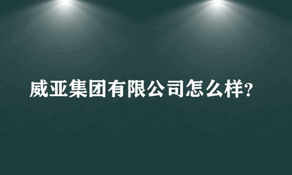 威亚集团有限公司怎么样？