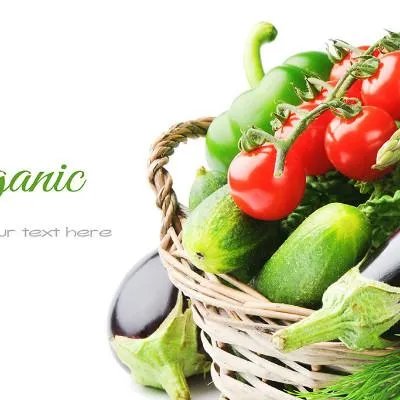 左旋肉碱吃多久能瘦