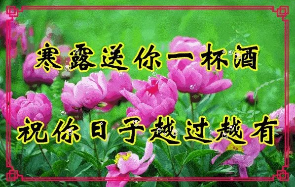 寒露祝福语一句话