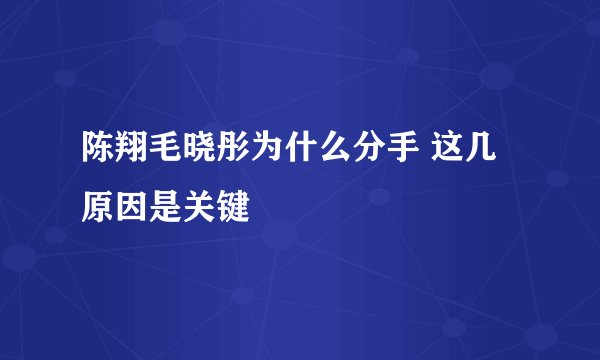 陈翔毛晓彤为什么分手 这几原因是关键
