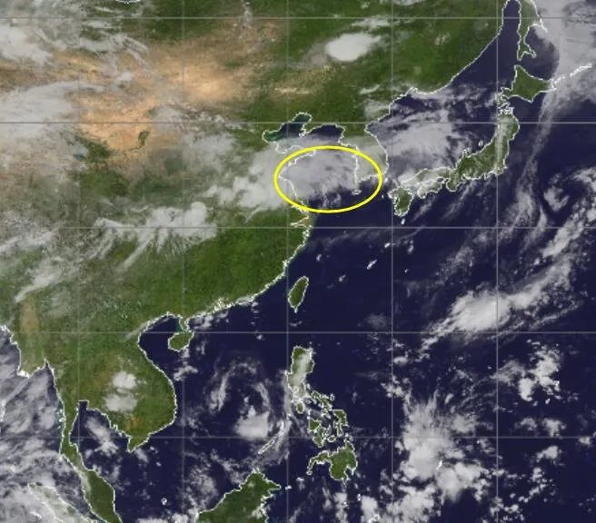 台风路径实时发布系统2020四号台风云图 台风黑格比最新卫星云图