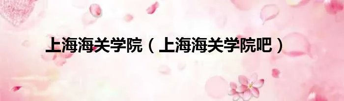 上海海关学院（上海海关学院吧）