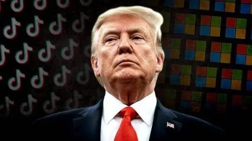 特朗普被提名为美国总统候选人,对此你有什么看法?