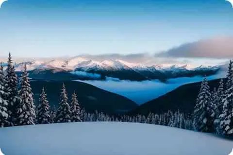 小学生写文言文走红