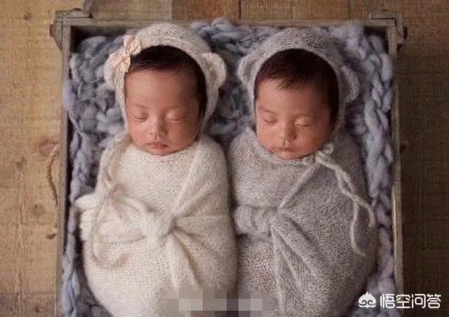 范冰冰怀孕生双胞胎女儿