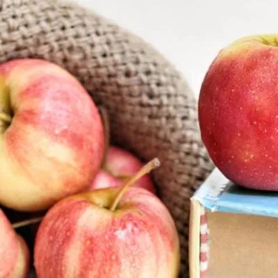 宝宝吃什么鱼肝油好