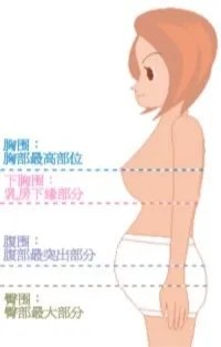 女性胸围尺寸:女性标准三围尺寸对照表(最全胸围对照)