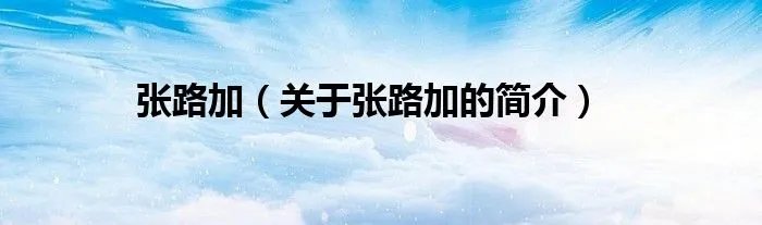 张路加（关于张路加的简介）