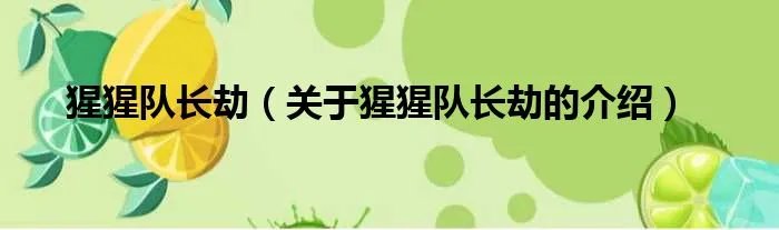 猩猩队长劫（关于猩猩队长劫的介绍）