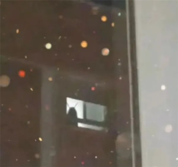 网友称广东最大的蟑螂是白云机场 官方亲自下场认领