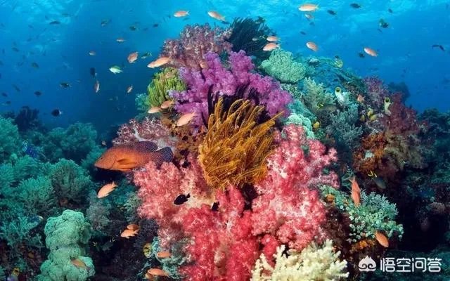 热浪岛旅游攻略有哪些?