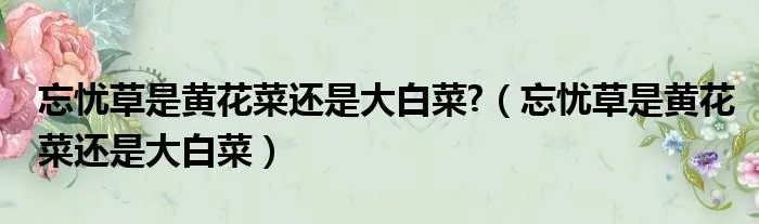 忘忧草是黄花菜还是大白菜?（忘忧草是黄花菜还是大白菜）