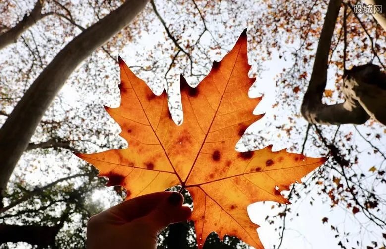 一中学收学生20元树叶费教育局回应 事件真相始末披露