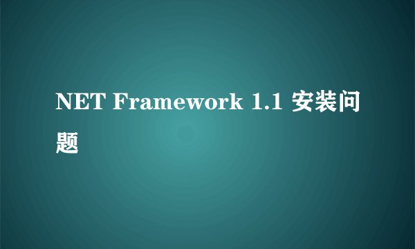 NET Framework 1.1 安装问题
