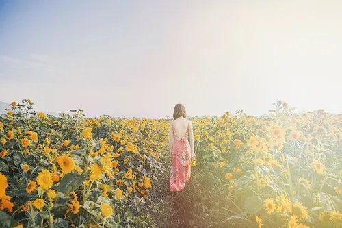 一般拍艺术照多少钱 如何拍唯美个人写真