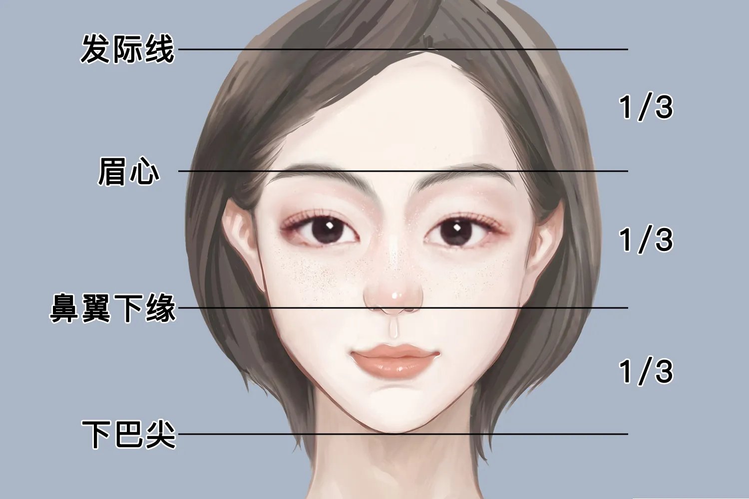 面部美容部位图片高清图