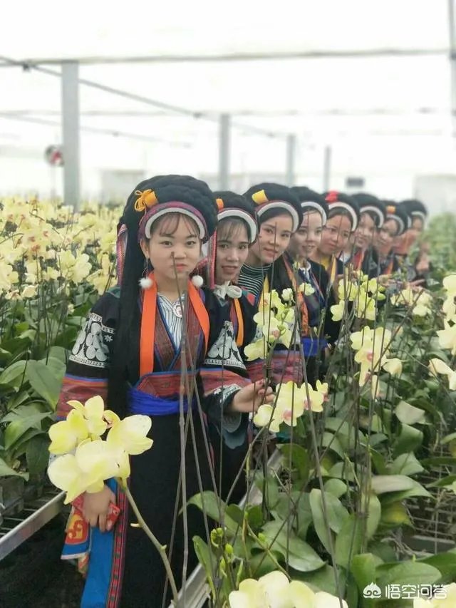 2月初2有什么习俗？