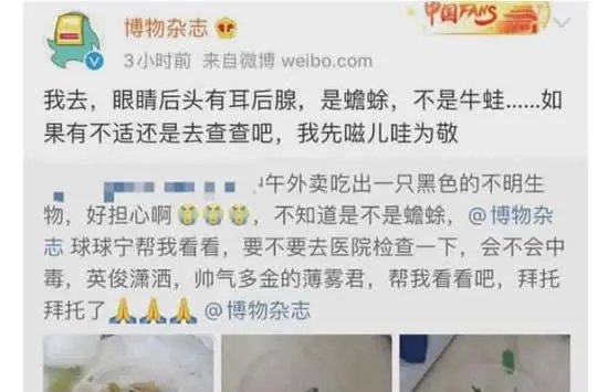 女子点外卖里面竟有只癞蛤蟆 商家的回应让人愤怒