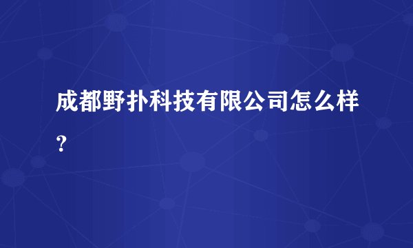 成都野扑科技有限公司怎么样？