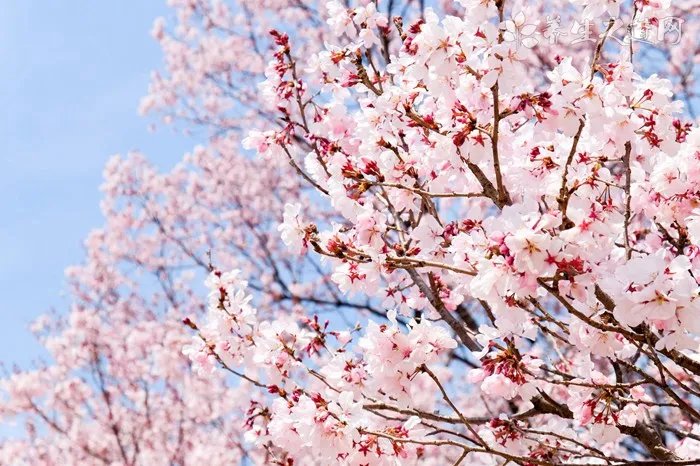 肤色不均用什么护肤品 揪出肤色不好的三大原因