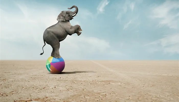 大象迁徙的原因是什么 大象为什么要迁徙