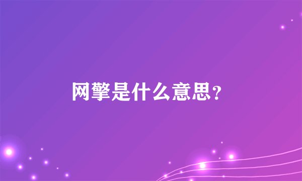 网擎是什么意思？
