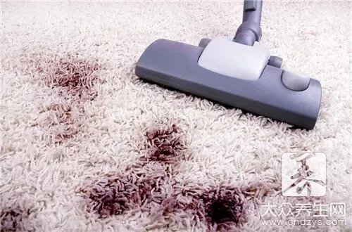  怎么去除蟑螂最有效