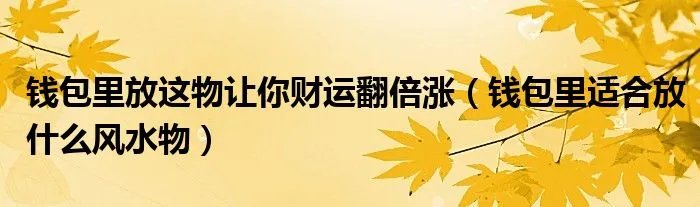 钱包里放这物让你财运翻倍涨（钱包里适合放什么风水物）