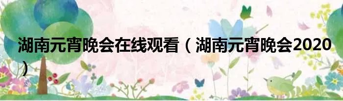 湖南元宵晚会在线观看（湖南元宵晚会2020）
