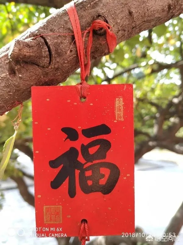 有人提议将春晚取消，你怎么看？