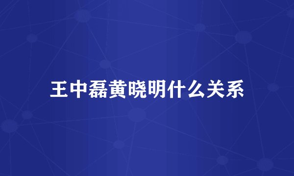 王中磊黄晓明什么关系
