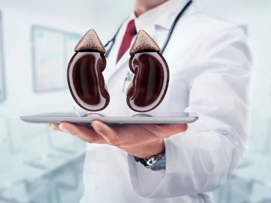 肾部保养的好处是什么