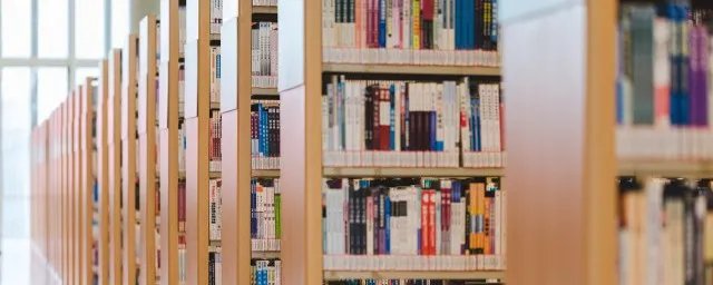 吴雨桐个人资料