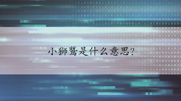 小狮鹫是什么意思？