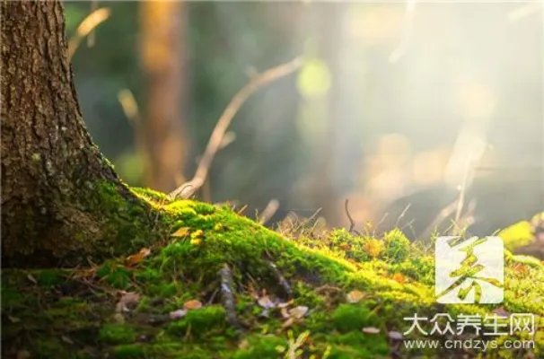  去水泥地青苔小窍门